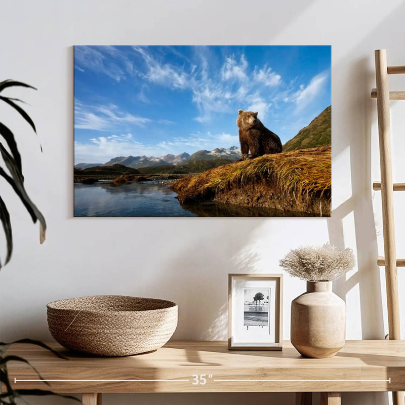 Brown Bear In Katmai National Park, H 16 po x l 24 po