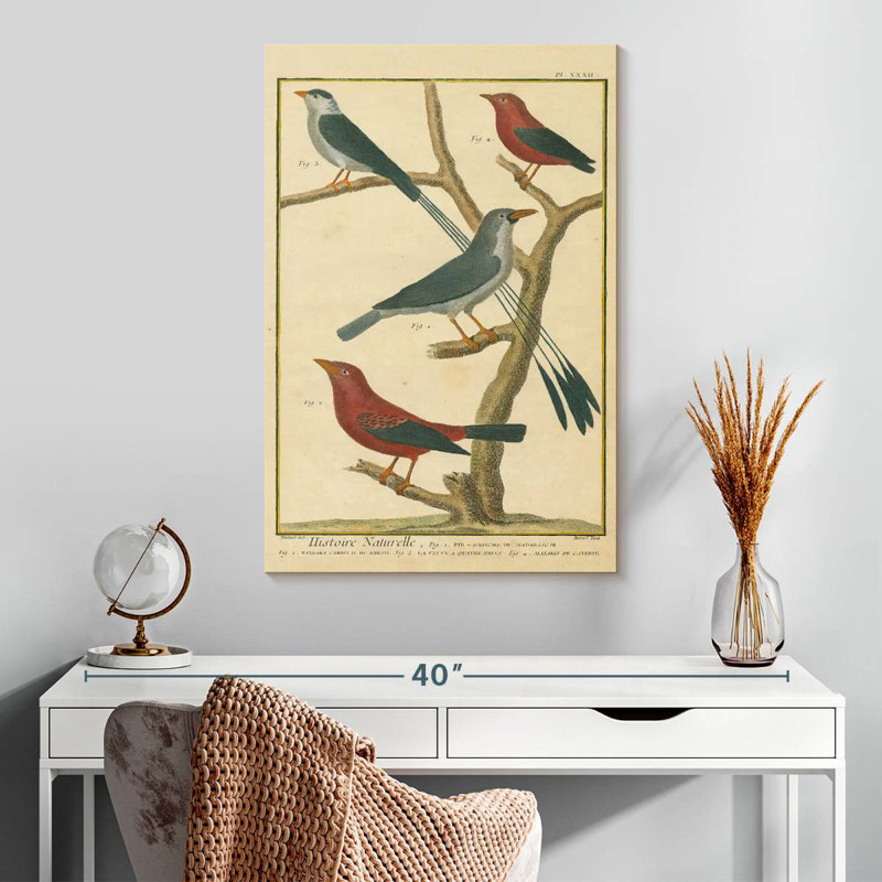Brampt Bird Drawing I, 30" H x 20" W