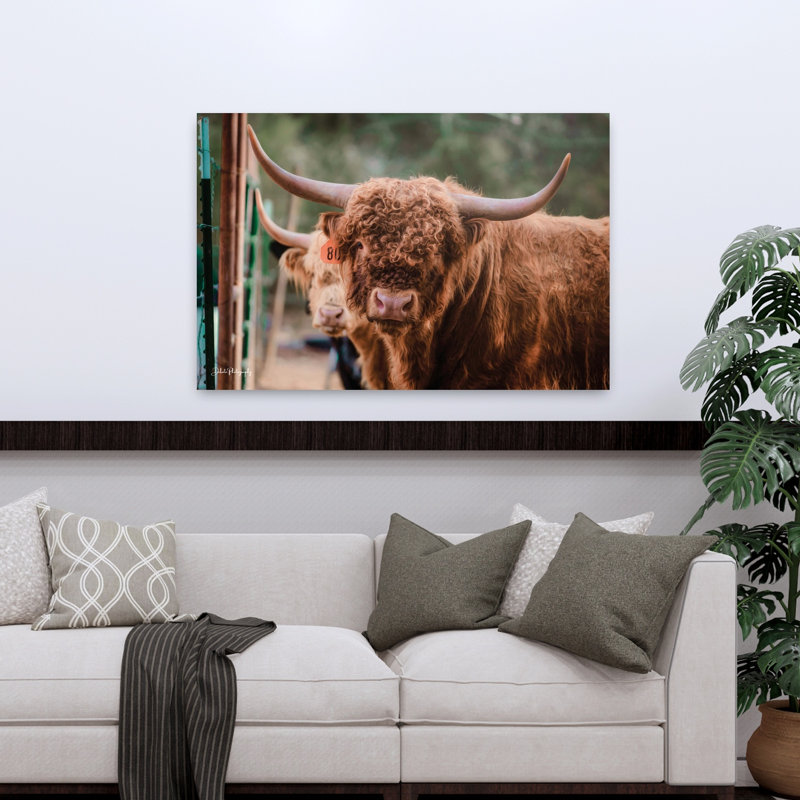 «The Bull», art contemporain abstrait, H 32 po x l 48 po