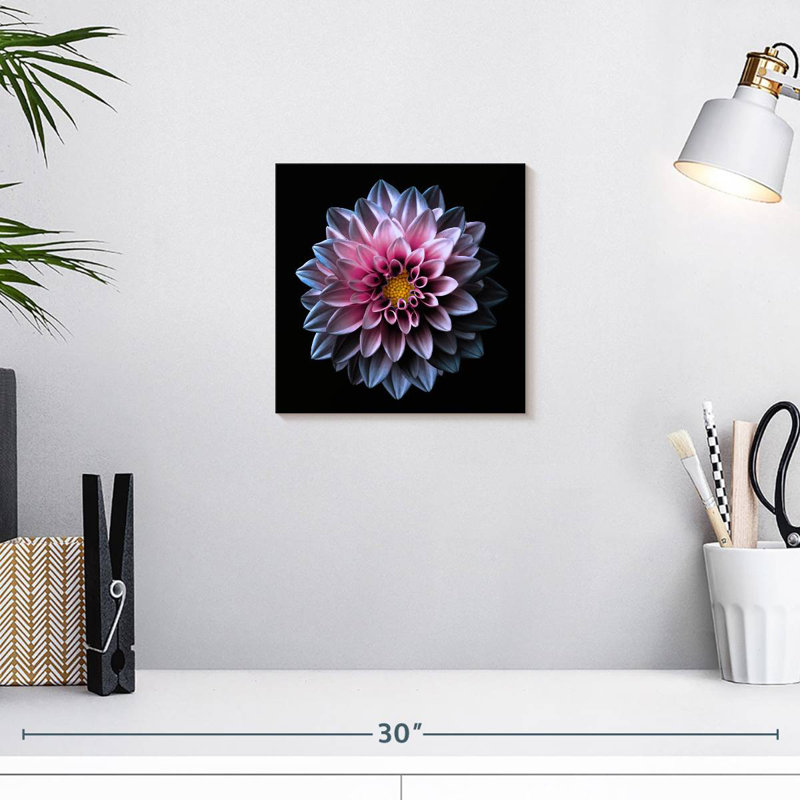 Dahlia Harnek rose et mauve, H 10 po x l 10 po