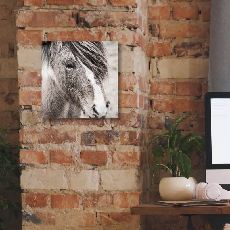 Winston Porter 'Elska 3 Bw' by Laura Marshall Canvas Wall Art, 18" x 18", H 12 po x l 12 po x P 0,75 po