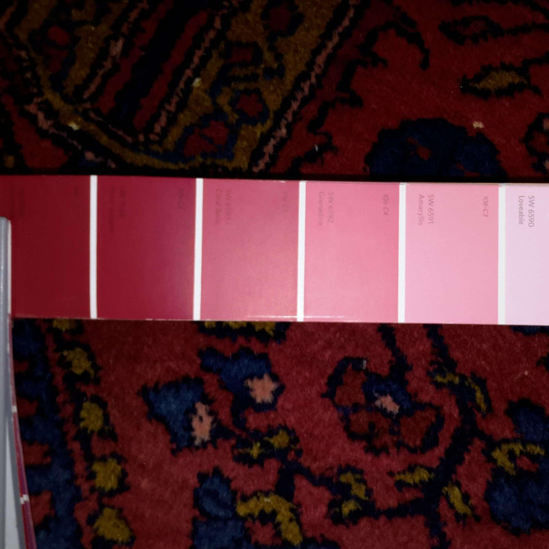 Orlah Oriental Area Rug in Red