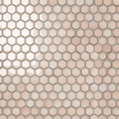 Hudson 1" Hex 11-7/8 " x 13-1/4 " Porcelain Mosaic Floor and Wall Tile