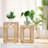 Set of 2 PE Rattan Outdoor Side Table with Storage