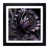 Black Framed selected