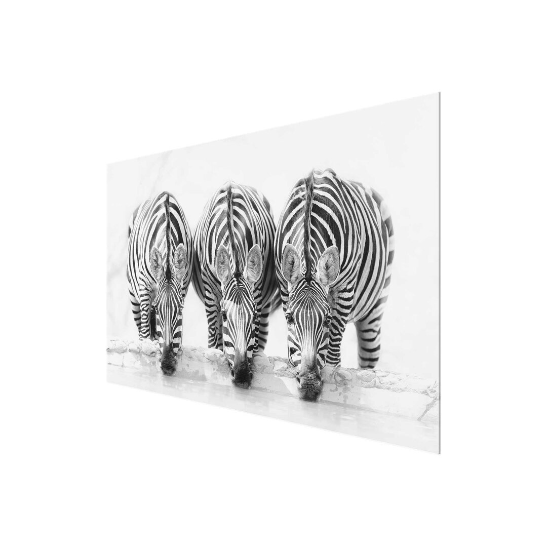 Glasbild Zebra Trio