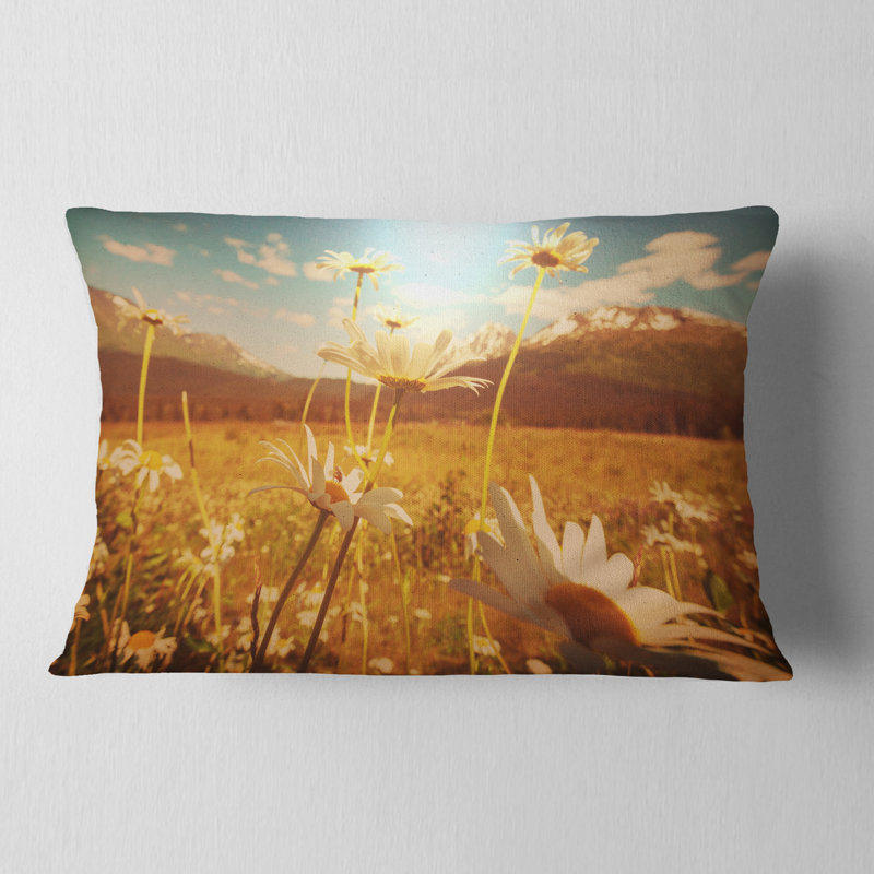 Blooming Chamomiles in Meadow - Coussin imprimé floral