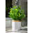 11'' Faux Tea Leaf Plant in Ceramic Planter