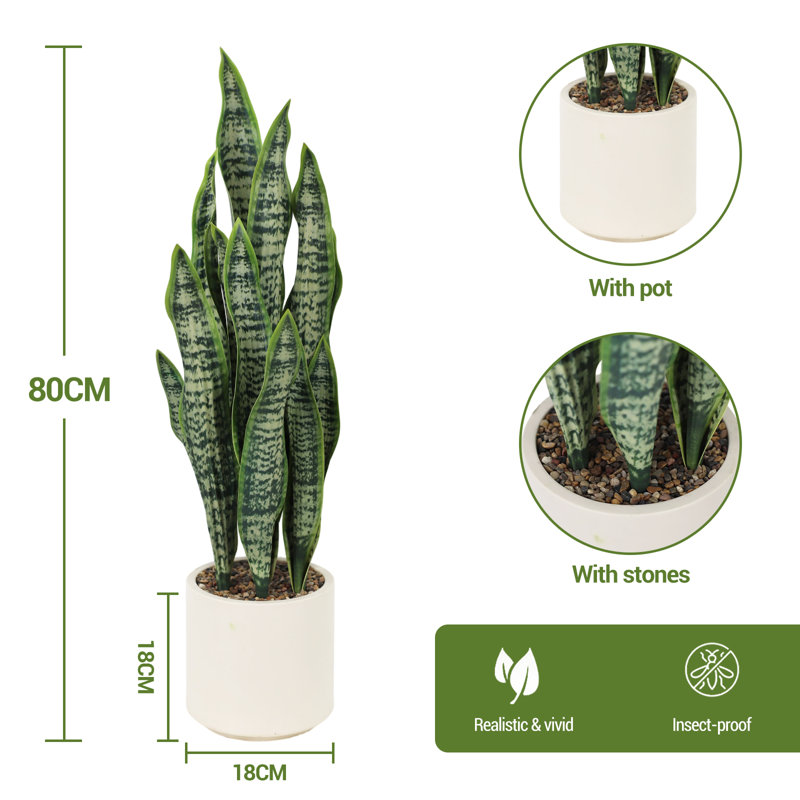 17.5cm Plant, 17.5cm H x 17cm W x 70cm D