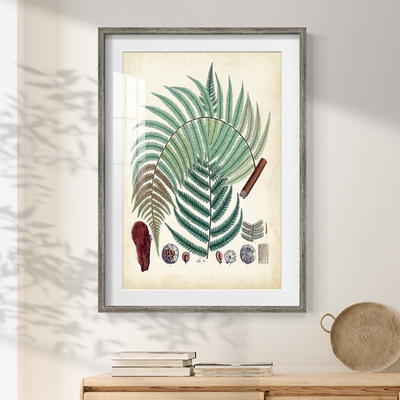 Codeah -Gallery Wrapped Canvas