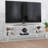 Moderna Media Console