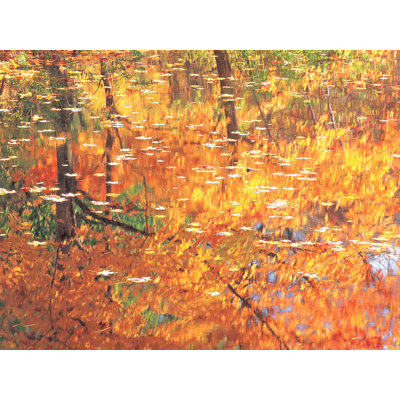 «Autumn Reflection in Pond» par Bruce Heinemann - photographie