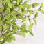 Branche de feuilles d'eucalyptus artificiel de 36 po pour remplissage de vase-298288712
