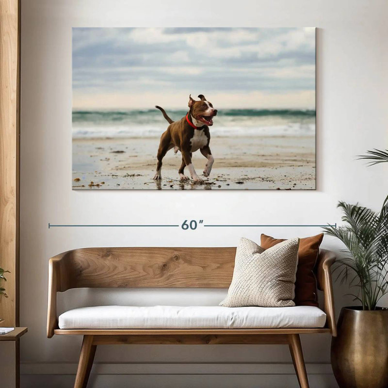 Brampt Pit Bull On Beach, 34" H x 51" W