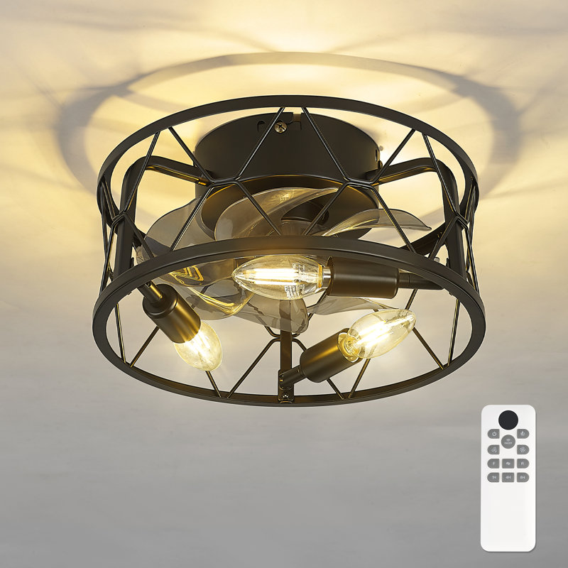 12" Mini Farmhouse Caged Ceiling Fan with Light Kit and Remote - White, Matte Black, Matte Black