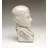 Crackle Phrenology Bust-20639347