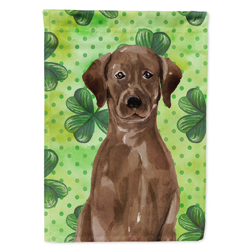40 x 28 po en polyester à 2 côtés de la st patrick drapeau maison, Labrador chocolat