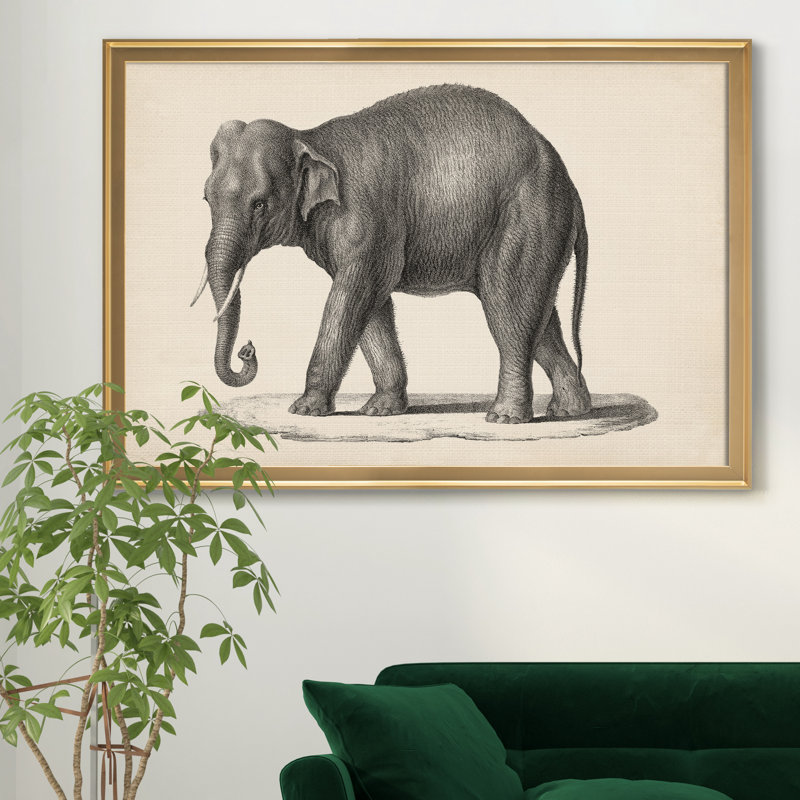 Brodtmann éléphant - cadre photo, reproduction d'art sur toile, H 26,5 po x l 36,5 po x P 1,5 po, Doré