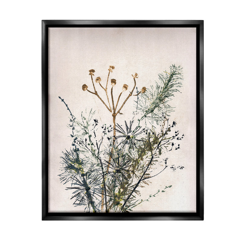 «Pine Needles Impression Floater Frame» par Pernille Folcarelli sur toile, Cadre flottant noir de jais, H 31 po x l 25 po