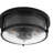 Lampkins 2 - Light Crackled Glass Shaded Flush Mount 