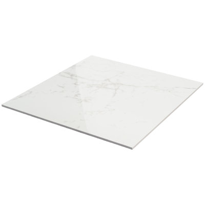 24" x 24" Polished Marble Look Porcelain Floor and Wall Tile (15.5 Sq. Ft. / Case)