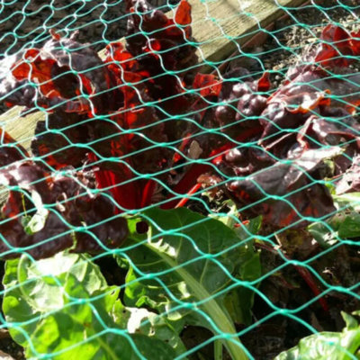 Fancy Shade Cloth and Cover