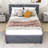 Ellionna Upholstered Platform Bed with Trundle and Headboard-1339005550-1339005544