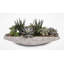 Faux Succulent Plant in Stone Planter