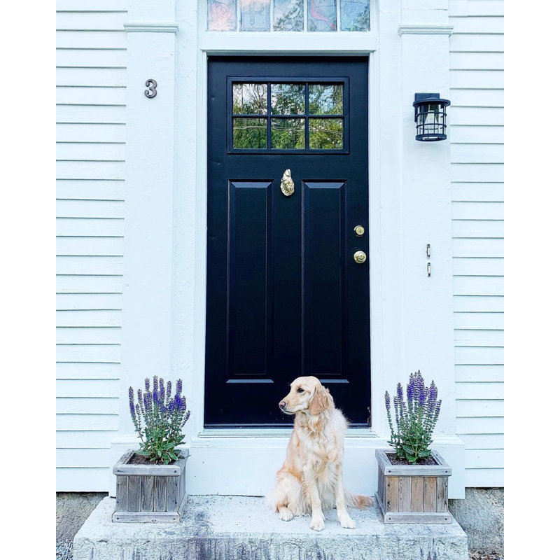 American Oyster Door Knocker