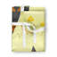 Easter No Pattern Bib Apron-1677533215-1677533212