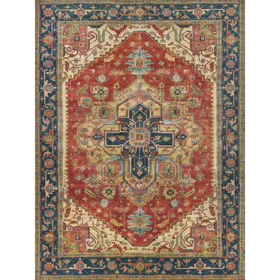 Serapi Oriental Area Rug