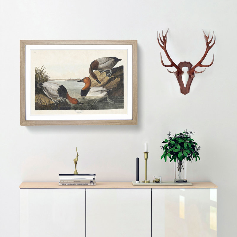 Canvas Backed Ducks by John Audubon - Picture Frame Painting Print, Oak Framed, 27cm H x 36cm W x 2cm D