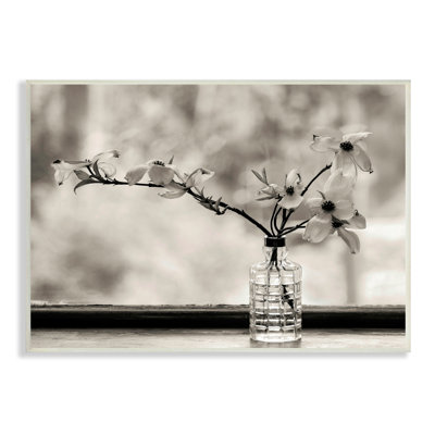 Rebord de fenêtre fleur d'orchidée monochrome par Kelly Sinclair - photographie