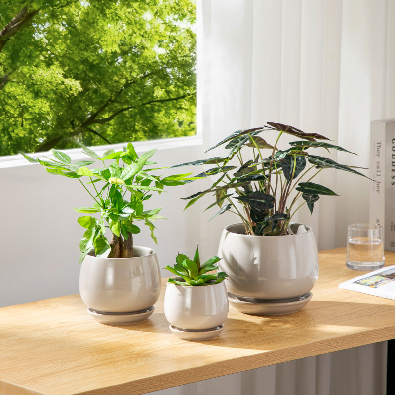 Ceramic Pot Planter, 14.7cm H x 12cm W x 5cm D, Grey
