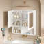 Armoire de toilette 2 en 1, armoire à pharmacie murale de 30 pouces avec tablettes réglables et portes à fermeture douce, miroir haute définition avec rangement pour meuble-lavabo de salle de bain-993037696