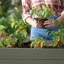 Keter Darwin Elevated Garden Bed - Green