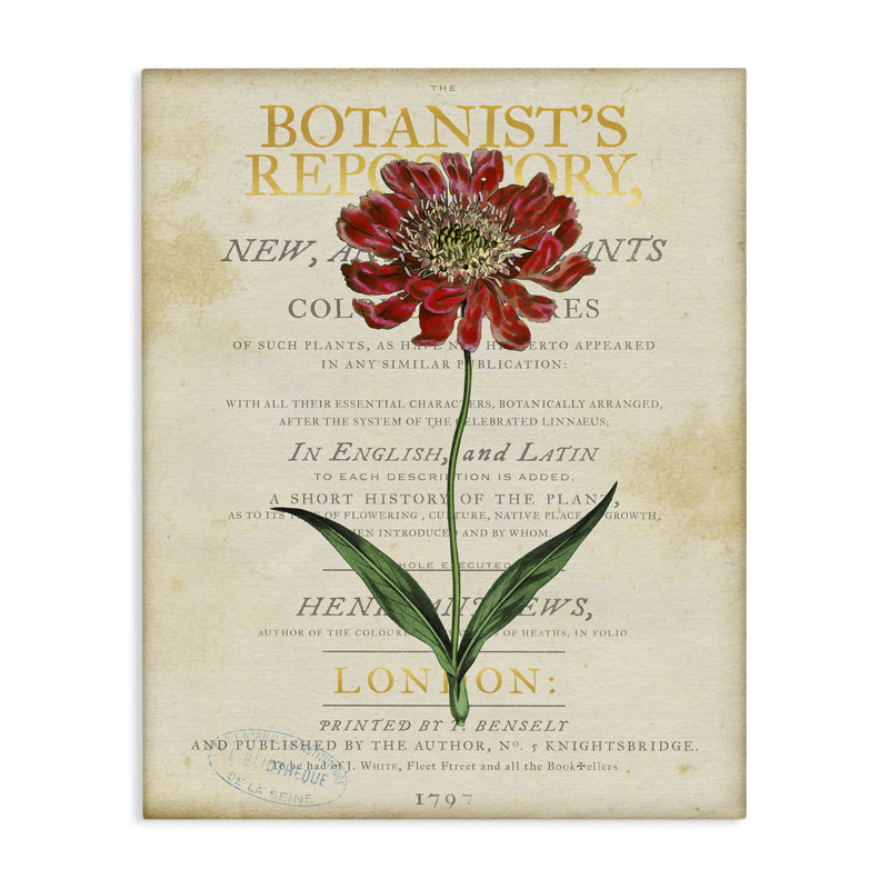 «Flower over Vintage Page», art mural par Susan Arnot, H 20 po x l 16 po