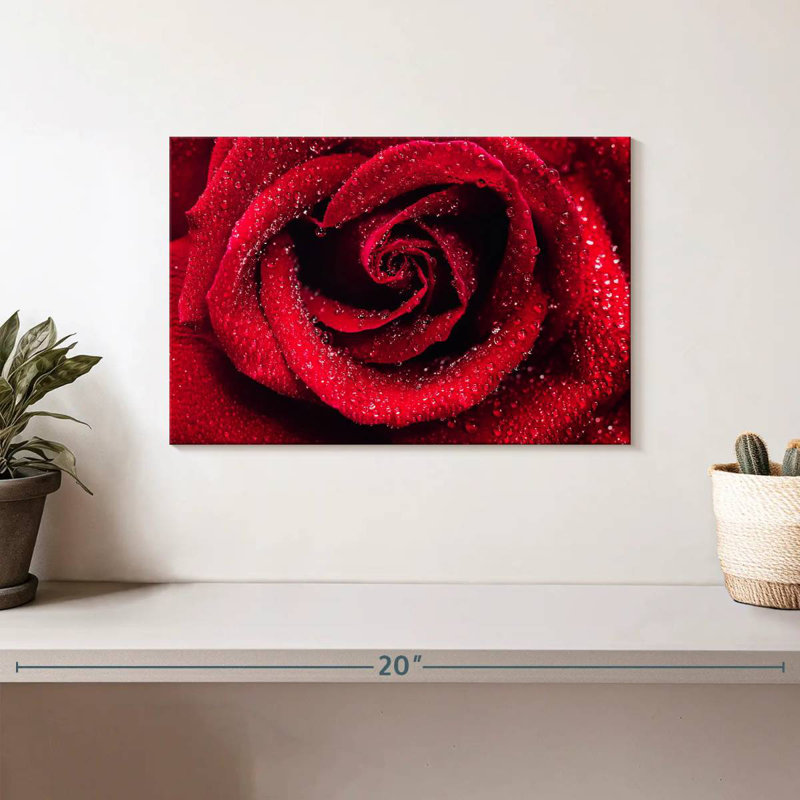 Droplets On Red Rose, 8" H x 12" W