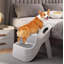 Escalier pliable pour animaux en plastique