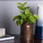 Fabric Pothos Arrangement