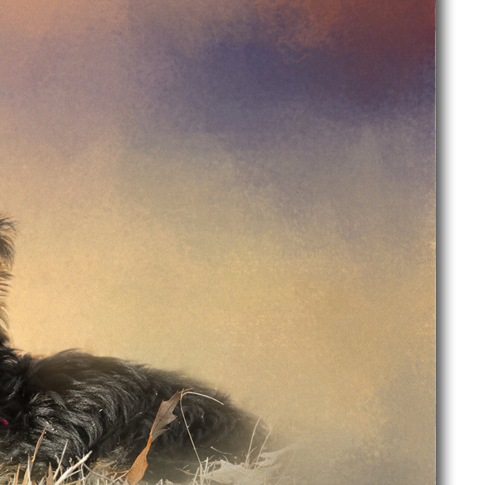 Yorkie Loving The Leaves Canvas Print in Warm Tones