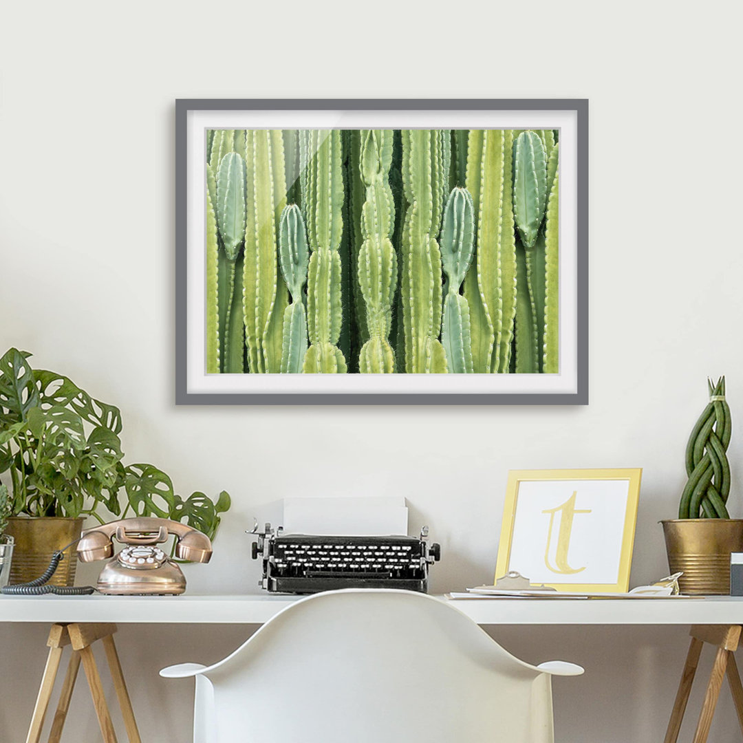 Gerahmtes Poster Cactus Wall