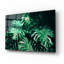 «Tropical» par PhotoINC Studio-1333885067