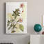 Impatiens Study, impression sur toile tendue-1921560831