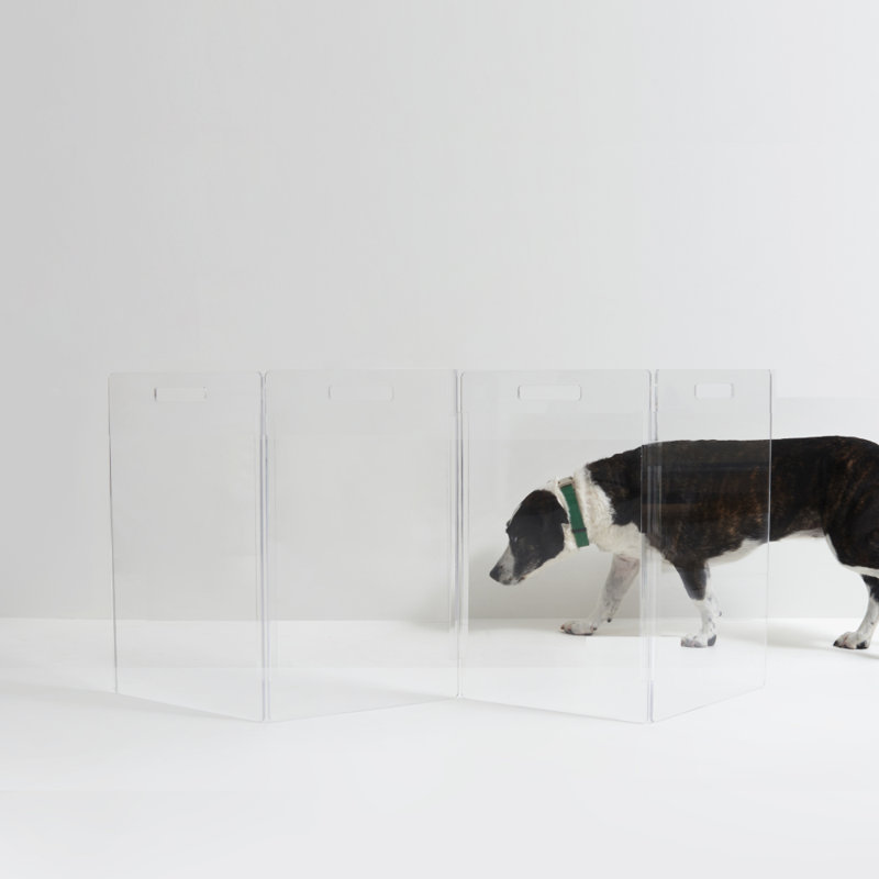 Clear Zig Zag Pet Gate, 4-Panel , Low 