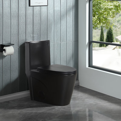 1.1/1.6 GPF Dual-Flush Elongated One-Piece Toilet with 17.13 in. Comfort Seat Height, Ceramic Glazed Surface(Soft Close Seat Included), Matte Black
