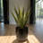 Fiberglass Round Planter 19.5'' H X 19.5'' W X 19.5'' D-1059873608-1046497945
