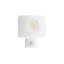 Ostler 1-Light LED Flood Light