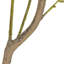 Faux Eucalyptus Tree-Faux Eucalyptus Tree-7'