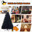 Arbre de Noël pin noir-386593802